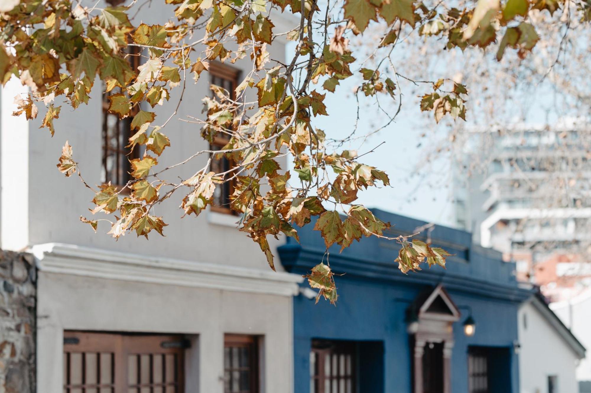 Guest house Cape Finest Located In De Waterkant Cape Town